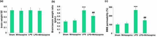 Figure 1. Mirtazapine attenuates LPS treatment-induced BBB disruption. The mice were weighed at day 6 before the LPS injection and weighed again at day 7, about 24 hours after the LPS injection. (a) Change in brain weight; (b) Brain/Serum weight ratio; (c) The BBB permeability to 14C-Sucrose (***, P < 0.005 vs. LPS sham group; ##, P < 0.01 vs. LPS group).