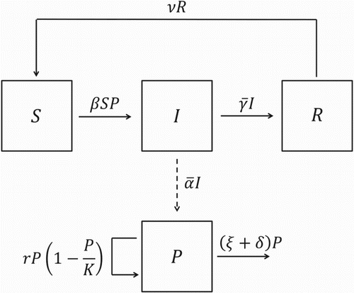 Figure 4. Compartmental diagram for Model 2.