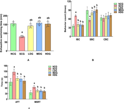 Figure 5. Effect of banana powder intervention on mental behaviours in normal control group of non-diabetic rats (NCG), standard chow (SCG), and low (LDG), middle (MDG), and high dose (HDG) of banana starch intervention diabetic rats. (A) Comparison of exhaustive swimming time in each group, (B) Comparison of the behaviours of Immobility Behaviour Counting (IBC), Swimming Behaviour Counting (SBC), Cumulative Immobility Counting (CBC) in each group in the forced swimming test. (C) Comparison of the behaviours of AFT and MSRT in each group in the tail suspension test.