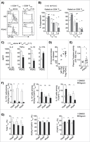 Figure 5. Treg that include FOXP3+Treg and FOXP3+RORγt+Treg from PDAC are immunosuppressive but enhance mast cell degranulation. (A) A representative overlaid flow histograms shows the suppressive capacity of Treg against CD4+Tresp (black), CD8+Tresp (blue) from HD and PDAC PBMCs. Left panel shows Tresp stimulated in the absence of Treg and right panel shows Tresp stimulated in presence of Treg (Treg:Tresp = 1:2 ratio). (B) Compiled percentage of suppression by Treg from HD and PDAC PBMCs with increasing Tresp to Treg ratio in the co-culture. (C) Cytokines from co-cultures of Treg and Tresp from PDAC PBMCs by ELISA. HD (n=4) and PDAC (n = 7). (D) Compiled percentage degranulation of LAD2 human mast cells sensitized with IgE alone, IgE + antigen cross-linked, or co-cultured with purified Treg (Treg:MC = 1:1 ratio) from HD and PDAC PBMCs. HD (n = 4) and PDAC (n = 10). (E) Tryptase activity of HD and PDAC serum was measured by spectrophotometric assay HD (n = 11) and PDAC (n = 15). (F) Compiled bar graph shows the IL-17A and IL-10 expressing FOXP3+RORγt+Treg and FOXP3+Treg, and (G) The frequency of total Treg, FOXP3+RORγt+Treg and FOXP3+Treg from PDAC PBMCs that were pretreated with indicated concentrations of the RORγt inhibitor digoxin or with dimethyl sulfoxide (DMSO) as control. PDAC (n = 10). Error bars represents mean ± SEM, horizontal bar represents median and each dot represents one patient. ns = non-significant, *p ≤ 0.05, **p ≤ 0.01.