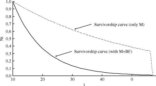 Figure 3.  Survivorship curve for minke whales in Korean waters.