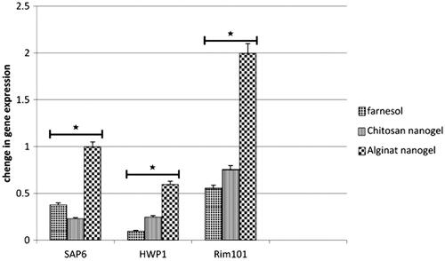 Figure 7 Comparison of gene expression pattern of HWP1, SAP6 and Rim101 of C. albicans compared with ACT1 gene (housekeeping gene) before and after treatment with farnesol and nanogels containing farnesol. Changes in gene expression of HWP1, SAP6 and Rim101 are presented, compared to treatment with farnesol and nanogel. *The difference between groups is statistically significant.