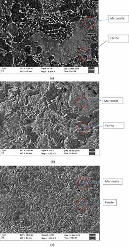 Figure 3. Ferrite-Martensite at (a) 750, (b) 770 (c) 790° C distribution.