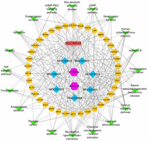 Figure 8. Constructing a component-disease-target-pathway network for the treatment of insomnia with BX-YYR. Green triangles represent pathways, yellow dots represent coacting targets, blue diamonds represent core active components, and pink hexagons represent semisummer and coix kernels, respectively.