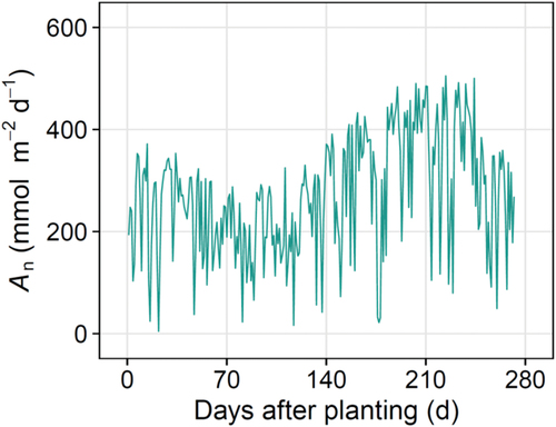 Figure 4. Change in daily cumulative leaf net photosynthesis (An) estimated using biochemical photosynthesis model parameters, including the measured maximum carboxylation rate (Vcmax) and maximum electron transport rate (Jmax), and microclimates inside a greenhouse throughout the experimental period (October 3, 2019–June 30, 2020).