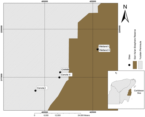Figure 1. Geographical distribution of cenotes and wetlands sampled at Sian Ka’an Biosphere Reserve in the southeast of Mexico.
