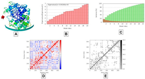 Figure 9 Results of molecular dynamics simulations of AAZ7 docked complex with BChE. (A) NMA mobility, (B) eigenvalues, (C) variance (red color represents individual variance in comparison with green color representing cumulative variance), (D) covariance map correlated in red color, uncorrelated in white color and blue color giving correlated, (E) elastic region as more grey area represents more hard regions.