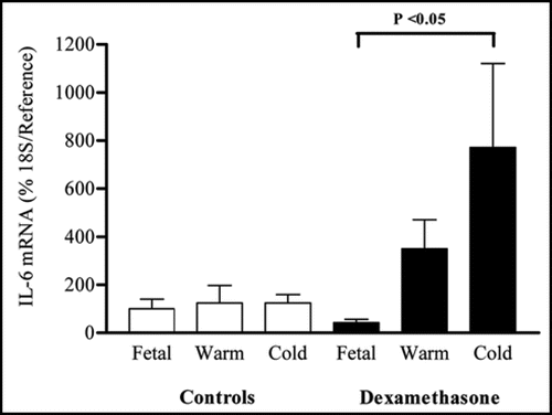 Figure 4 Abundance of interleukin 6 mRNA in perirenal adipose tissue sampled from fetuses delivered by caesarean section at 140 days of gestation (dGA; term ∼147 dGA) following maternal dexamethasone (Dex) administration or at 146 dGA (control group) into warm and cool ambient temperatures. Values are means with their standard errors (n = 4 per individual group).