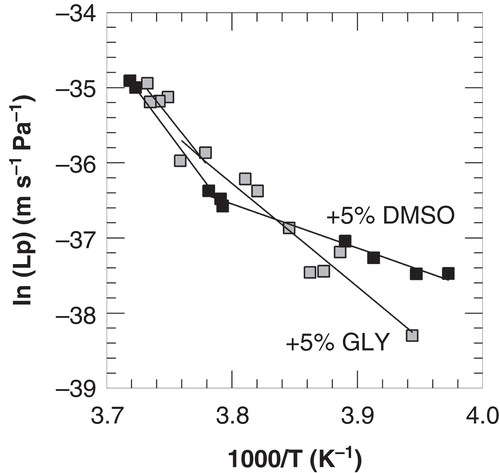 Figure 5. Arrhenius plots of the membrane hydraulic permeability of 3T3 cells as a function of the nucleation temperature in the presence of 5% DMSO (open squares) or glycerol (black squares), derived from membrane lipid band analysis from FTIR studies. Linear regression lines are indicated in the temperature ranges above and below −9 and −7°C for DMSO and glycerol, respectively.