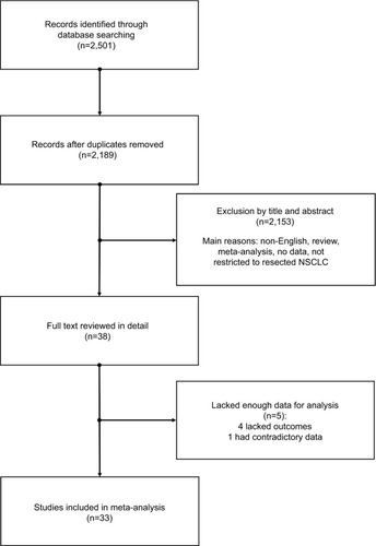 Figure 1 Flowchart of publication search and selection.Abbreviation: NSCLC, non-small cell lung cancer.