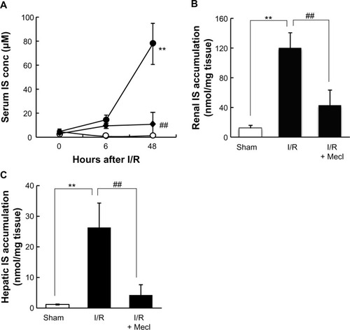 Figure 4 Effect of meclofenamate on IS concentration in rats treated with renal I/R.