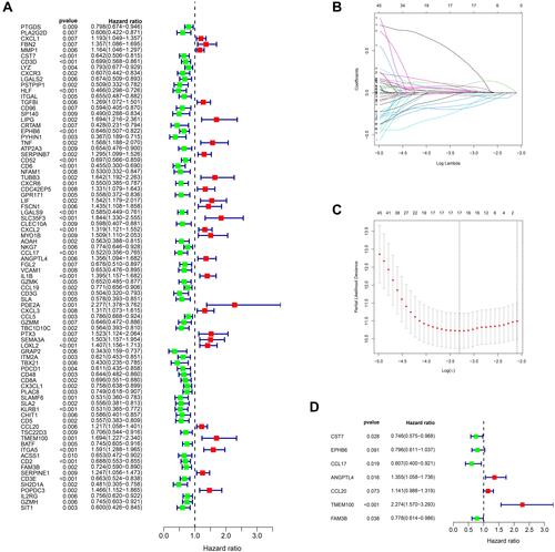 Figure 3 Establishment of the pyroptosis-related signature in the TCGA dataset. (A) Univariate cox regression analysis screened prognostic genes from DEGs based on pyroptosis-related clusters (P < 0.01). (B) LASSO regression of the 84 prognostic genes. (C) Cross-validation for tuning the parameter selection in the LASSO regression. (D) Stepwise multivariate cox regression analysis showed 7 independent prognostic genes.