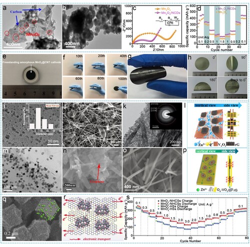 Figure 4. Transmission electron microscopy (TEM) images of (a) Mn3O4/CDs and (b) pure Mn3O4. (c) Electrochemical impedance spectroscopy (EIS) and (d) rate properties of Mn3O4/CDs and pure Mn3O4. Reproduced with permission. Copyright 2022, WILEY-VCH [Citation60]. (e) Optical image of the free-standing cathode of amorphous MnO2/CNT. Reproduced with permission. Copyright 2020, Elsevier [Citation129]. The mechanical stability of (f) V2O5 nanoparticles/CNT, reproduced with permission, copyright 2019, Royal Society of Chemistry [Citation130], (g) V2O5 nanofibers/CNT, reproduced with permission, copyright 2020, Elsevier [Citation25], and (h) KVO nanobelts/CNT free-standing electrode, reproduced with permission, copyright 2020, American Chemical Society [Citation66]. (i) TEM image of ZnMn2O4/rGO and corresponded particle size distribution of ZnMn2O4. Reproduced with permission. Copyright 2020, Elsevier [Citation131]. (m) TEM image of ZnMn2O4/NG. Reproduced with permission. Copyright 2019, Elsevier [Citation132]. Scanning electron microscope (SEM) images of (j) MnO2 nanowires/rGO, reproduced with permission, copyright 2022, WILEY-VCH [Citation20], (n) H2V3O8 nanorods/graphene, reproduced with permission, copyright 2020, American Chemical Society [Citation133], and (o) H2V3O8 nanowires/graphene, reproduced with permission, copyright 2018, WILEY-VCH [Citation134]. (k) TEM image of 1D V2O5·H2O/graphene. Reproduced with permission. Copyright 2018, WILEY-VCH [Citation48]. Schematic illustration of the architectural frame structure of (l) 2D VO2 nanobelts/rGO, reproduced with permission, copyright 2021, Elsevier [Citation135], and (p) Od-VO2 nanobelts/rGO, reproduced with permission, copyright 2020, Elsevier [Citation136]. (q) SEM image of ZMO@PCPs. (r) Schematic diagram of electronic transport of ZMO@PCPs cathodes. Reproduced with permission. Copyright 2020, Elsevier [Citation137]. (s) Rate performances of MnO2/NHCSs and pure MnO2. Reproduced with permission. Copyright 2020, Royal Society of Chemistry [Citation89].