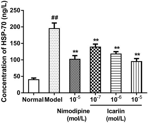 Figure 4. Effect of icariin on HSP-70 levels in OGD-treated PC12 cells. Model control cells were treated with 2 h OGD. The treated cells were incubated with icariin(10−7, 10−6 or 10−5 mol/L) or nimodipine (10 μmol/L) 1 h before OGD and 2 h throughout OGD. Normal control cells were incubated in a regular cell culture incubator under normoxic conditions. After these treatments, HSP70 levels in cell supernatant fluid were analyzed using ELISA assay. Mean ± SD for six samples. ##p < 0.01 vs normal control group. **p < 0.01 vs model control group.