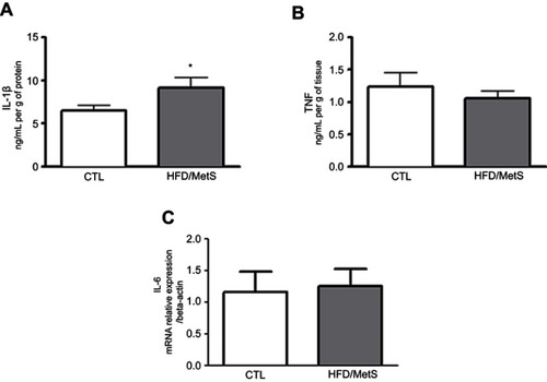 Figure 4 Inflammatory parameters assessed in the kidney of control group (CTL) and HFD-fed rats (HFD/MetS) for 20 weeks. Kidney levels of IL-1β and TNF-α (A and B, respectively) assessed by ELISA quantification and mRNA transcript levels of gene coding for IL-6 evaluated by RT-PCR (C). *P<0.05 vs control.