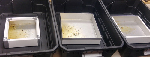 Figure 1. Traps A (center), B (right), and C (left) during the “wet test”. Wandering small hive beetle larvae can be seen in the top left corner of trap C (left). Fermented honey is visible in all the traps (photo: K. Stief).