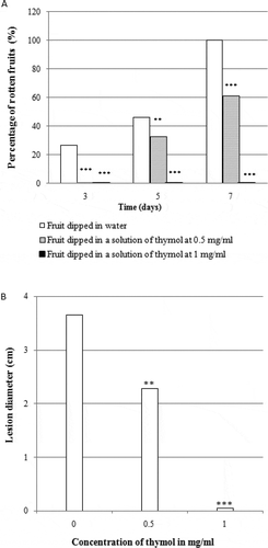Fig. 2 Effect of thymol on rot development in orange fruit. (a) percentage of rotten fruits after seven days of incubation. (b) lesion diameter after seven days of incubation. Fruits were treated with thymol at different concentrations, inoculated with 250 µL of an aqueous suspension of spores of Geotrichum candidum (106 spores per mL) and incubated for seven days at 22°C. Results are expressed as means of three replicates. Significance in comparison with control (fruit dipped in water only) according to Student test at P < 0.05