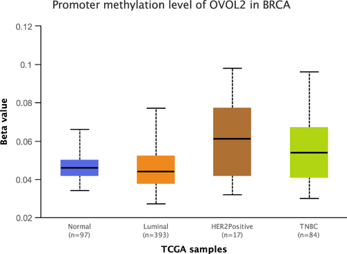 Figure 3 Promoter methylation level of OVOL2 was significantly higher in TNBC. Promoter methylation level of OVOL2 Normal, Luminal, HER2 positive and TNBC. (Comparison and Statistical significance: Normal-vs-Luminal, 1.405210E-01; Normal-vs-HER2 Positive, 1.056760E-01; Normal-vs-TNBC, 6.341600E-02; Luminal-vs-HER2 Positive, 7.800400E-03; Luminal-vs-TNBC, 6.413200E-04; HER2Positive-vs-TNBC, 6.074400E-01).