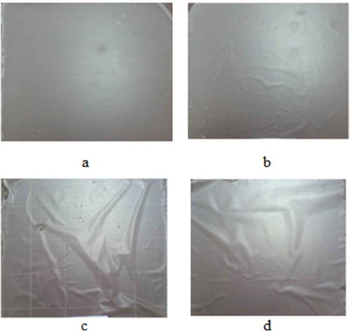 Figure 4. Films produced from waste flour (75% w/v), with 40% w/w plasticizers/waste flour, at glycerol:sorbitol w/w ratios of (a) 1:1, (b) 2:1, (c) 3:1, and (d) 4:1.Figura 4. Películas producidas de harina de desperdicio (75% p/v), con 40% p/p plastificantes/harina de desperdicio, con ratios de glicerol: sorbitol p/p de (a) 1:1, (b) 2:1, (c) 3:1 y (d) 4:1.