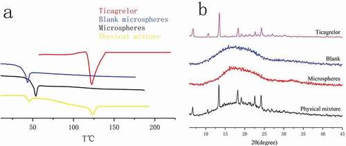 Figure 10. Ticagrelor, blank, microspheres, physical mixture DSC(e) and XRD(f) patterns