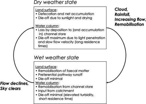 Figure 4  Schematic representing the transition from wet to dry weather processes associated with faecal indicator dynamics in river catchments.