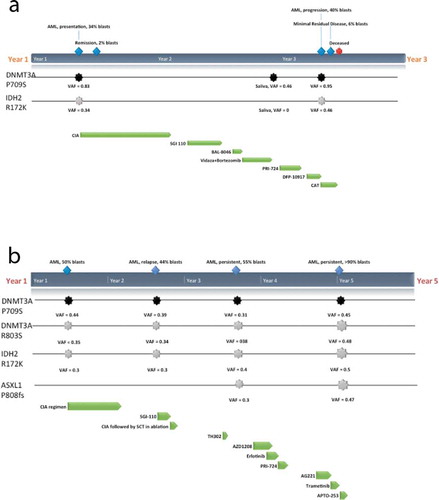 Figure 1. Clinical course and mutations detected in I-2(a) and II-1(b). Germline mutation in DNMT3A P709S (black) and predominant somatic mutations in IDH2 R172K and ASXL1 P808fs (grey) that were detected within bone marrow samples at various timepoints (blue) along with the regimens and protocols given (green): CIA (induction of clofarabine, idarubicin and cytarabine), SGI-110 (DNMT inhibitor), BL-8040 (CXCR4 inhibitor), TH302 (Evofosfamide, replication inhibitor), AZD1208 (Pim-kinase inhibitor), Erlotinib (epidermal growth factor receptor (EGFR) inhibitor), PRI-724 (Wnt inhibitor), J0894 + J9100 (Decitabine + Cytarabine), AG221 x 2 cycles (IDH2 inhibitor), Trametinib (MEK inhibitor), APTO-253 (MTF-1 inhibitor) are shown