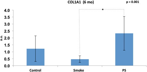 Figure 12. Assessment of COL1A1 gene expression among the groups at 6 months of follow-up (C6, S6 and PS). Statistical analyses were performed with one-way ANOVA test. The data are shown as mean and standard deviation (Control: 6 mo, n = 7. Smoke: 6 mo, n = 10. PS: n = 4). PS: provisional smoke. mo: month. a.u.: arbitrary unit. *Statistically significant difference present in the Bonferroni post-test.