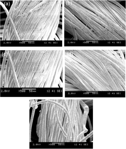 Figure 7. Surface images of untreated fabric (a); treated with NaOH 3 mol/L (b); KOH 3 mol/L (c); LiOH 3 mol/L (d); TmAH 3 mol/L (e).