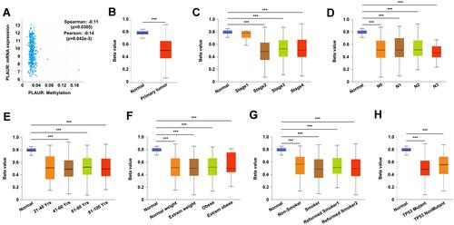 Figure 4 The promoter methylation level of PLAUR and its association with clinicopathological features of BLCA patients. (A) The negative correlation between the expression and the methylation level of PLAUR analyzed in cBioPortal database. (B–H) The promoter methylation level of PLAUR in BLCA analyzed in UALCAN database based on sample type (B), cancer stage (C), nodal metastasis status (D), patients’ age (E), weight (F), smoking status (G) and TP53 mutation status (H). ***P<0.001.