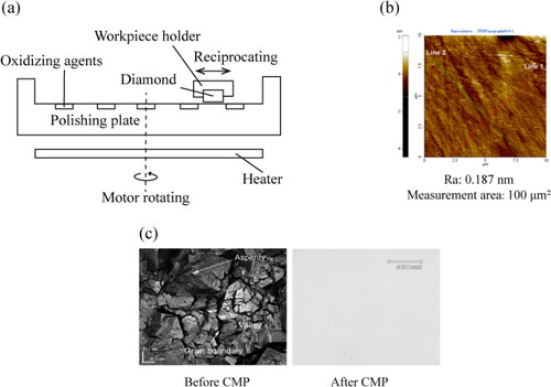 Figure 2. Chemical mechanical polishing (CMP): (a) Schematic diagram of the setup for CMP experiments (Adapted from ref. [Citation43]); (b) Typical AFM roughness image of CMP [Citation41]; (c) Surface optical images of CMP [Citation41].
