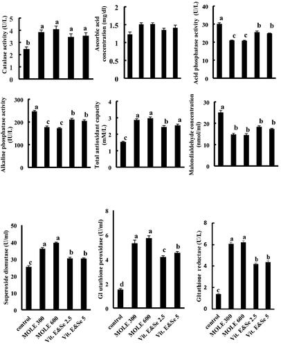 Figure 1. Effect of addition of different of MOLE and vitamin E & Se to semen extender on post-thawed Barki ram’s semen antioxidant enzyme system activity and LPO. Eight ejaculates from eight fertile Barki rams were collected weekly for five weeks (total 40 ejaculates). The ejaculates were pooled and divided into five groups according to additives into control group, in which semen extender was without additives, MOLE 300 group in which MOLE was added to semen extender at a dose of 300 µg/ mL, MOLE 600group in which MOLE was added to semen extender at a dose of 600 µg/ mL, Vit. E & Se 2.5 in which vitamin E and selenium combination was added to semen extender at a dose of 2.5 µg/ mL and Vit. & Se 5 group in which vitamin E and selenium combination was added to semen extender at a dose of 5 µg/ mL. The concentrations of ascorbic acid and malondialdehyde and the activities of alkaline phosphatase, acid phosphatase, total antioxidant capacity, Catalase, superoxide dismutase, glutathione reductase and glutathione peroxidase of the post-thawed seminal plasma were analysed. Values expressed as means ± SEM. Columns carrying different superscripts in the same row are significantly different at (p < .05).