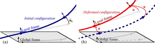 Figure 1. Initial (blue) and deformed (red) configurations. (a) The initial configuration of a catheter could be curved. Thus, for each beam, we store an initial displacement based on the position of the tip node in the local frame of the base node. (b) Actual deformations can always be measured locally in the local reference frame using . Displacements from initial configuration to deformed configuration are measured using u in the global reference frame and by in the local frame. [Color version available online.]