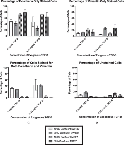 Figure 3. Lower cell-cell contact results in increased mesenchymal cell markers with the addition of TGF-β. SW480 and MCF7 cells were analyzed for epithelial (E-cadherin) or mesenchymal (vimentin) markers by flow cytometry. Cells were gated for staining for only E-cadherin (a), only vimentin (b), both markers (c), and neither marker (d) during flow cytometry experiments. Mean ± standard error of the mean (SEM) is represented. Without the application of exogenous TGF-β, changes in confluence lead to relatively small (although statistically significant) changes in the protein expression in both cell lines. With extracellular TGF-β, changes in confluence strongly affect the stained subpopulations (p < 0.0001). Despite this similarity, the cell staining patterns are very different between cell lines. The SW480 cells display a group of cells that stain for both E-cadherin and vimentin. Meanwhile, both before and after the reduction in confluence and the addition of TGF-β, the MCF7 cell population stains primarily for E-cadherin only.