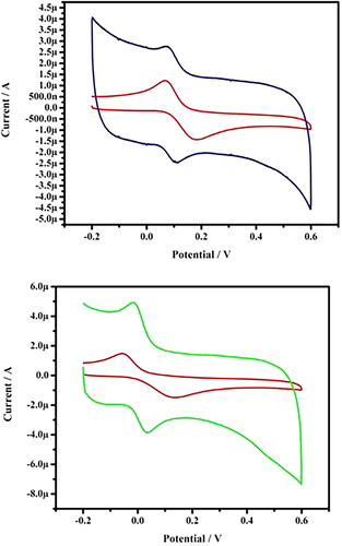 Figure 4. (a) Cyclic voltammograms of 10 µM CC in 0.2 M PBS solution of pH 7.4 at BCPE (coloured red) and poly(nigrosine) MCPE (coloured blue) at scan rate of 0.05 Vs−1. (b) Cyclic voltammograms of 10 µM HQ in 0.2 M PBS solution of pH 7.4 at BCPE coloured red) and poly(nigrosine) MCPE (coloured green) at scan rate of 0.05 Vs−1.