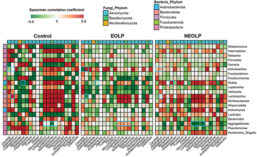 Figure 6. Spearman correlation analysis between abundant fungal and bacterial genera across samples. Only the top 20 genera in terms of relative abundance for both bacteria and fungi are displayed, with blue rectangle frames highlighting the pairs with significant differences among the three groups.