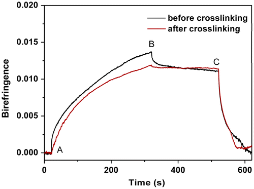 Figure 12. Typical behaviour of the photoinduced birefringence of PAE-allyl20%-azo20% before and after crosslinking.