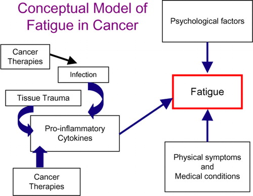 Figure 1.  This figure describes several etiologies for the production of pro-inflammatory cytokines in cancer patients. In their presence, along with psychological factors (depression, maladaptive coping) and physical symptoms and conditions (pain, arthritis, cardiovascular disease), survivors may experience ongoing chronic fatigue.