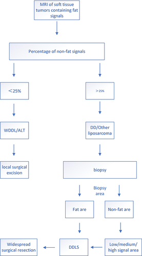 Figure 4 In soft tissue tumors containing fat signals, when the non-fatty area is less than 25%, WDLP is diagnosed in combination with the features in the text, and direct local surgical resection is performed. Whereas, when the nonfat area is greater than 25%, we can initially consider DDLP or other subtypes of liposarcoma, and obtain a wider range of tissue components by image-guided puncture of the fat area, the nonfat area (low, intermediate, and high signal areas) to obtain a wider range of tissue components, and after confirming the diagnosis of DDLP, extensive surgical resection is performed.
