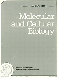 Cover image for Molecular and Cellular Biology, Volume 11, Issue 1, 1991