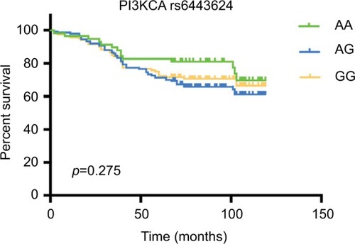Figure 2 The Kaplan-Meier curve illustrates overall survival based on PI3KCA allele status.