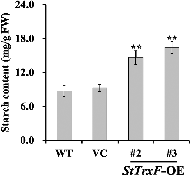 Figure 3. Starch content analysis in the leaves of four-week-old WT, VC and StTrxF expressing plants grown under standard/physiological conditions.