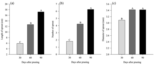 Figure 3. Effect of the evaluation date on the length of sprout (A), number of sprout (B) and diameter of sprout (C) in ‘Tommy Atkins’ Mango subjected to manual and mechanical pruning