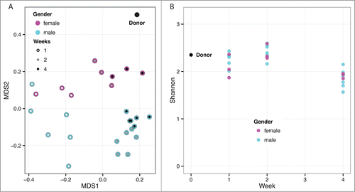 Figure 5. (A) Multidimensional scaling of OTU abundances from the fecal transplant experiment. The donor sample is shown as a black dot (upper right). Males are shown in cyan and females in magenta. The inner circle indicates time post fecal transplant in weeks as white, gray and black for one, 2 and 4 weeks, respectively. After the initial transplant, the samples diverge from the donor at week one and become more donor-like as time progresses. Males and females appear to separate into distinct groups. (B) Community complexity for fecal transplant experiment by Shannon index. The donor sample is shown at week 0. There is no significant difference by sex.