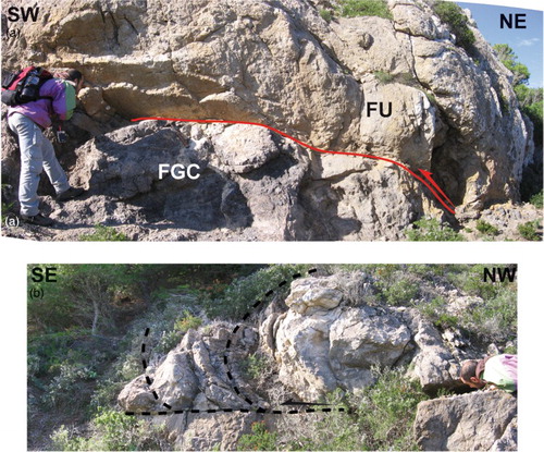 Figure 7. (a) Thrust fault (red line) close to the contact among the Falcone unit (FU) and the Bassano unit in the Pizzo Spirone area (FGC: Fine-Grained Cataclasites); (b) SE verging fold growing above a low-angle décollement surface recognized in the thrust fault hanging-wall (Falcone unit).