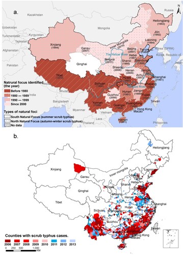 Figure 1. The spatial dynamic of scrub typhus in China. (a) The historical spatial dynamic of scrub typhus in China with the year of natural foci first identified in each province. (b) The spatial dynamic of scrub typhus in China from 2006 to 2013.Note: Hainan Province was established in 1988; Chongqing Municipality was established in 1997.