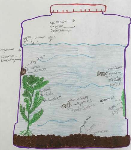 Figure 3. Group 1 (Jennifer, Jesús, Becca) – ecosystem plan.