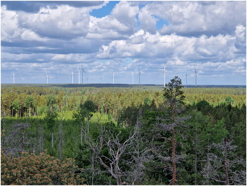 Figure 3. Damages caused by the spruce bark beetle are visible in the foreground of this view of Åby-Alebo Wind Park. Photo by Solène Prince (2022).