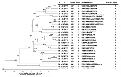 Figure 7. Phylogenetic tree of 40 chicken-derived anti-receptor G antibodies and cluster assignment. The phylogenetic tree (left panel) for the 40 chicken-derived anti-receptor G antibodies used for epitope clustering (Figs. 6 and 7) was generated in MegAlign using ClustalW alignment of all full length VH sequences. Bootstrap percentage values are shown on each node. The table (right panel) lists antibody IDs, presence of cysteines, antagonistic activity as well as length and amino acid sequence of the HC-CDR3. The symbols in the penultimate column indicate antibodies with identical HC-CDR3s. The last column lists the BLI epitope cluster assignment derived from the dendrogram shown in Fig. 6.