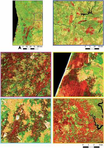 Figure 3. Multitemporal composite output relative to the optical part of the dataset (Sentinel-2) that resulted from processing fire season images (June-October). Five illustrative areas are shown on a more detailed scale beside the overview of the entire study area (top left). The images are shown in RGB combination (R = B12; G = B8; B = B4).