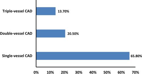 Figure 2 Percentage of single, double and triple vessel CAD among the studied cases of ACS (n=73).